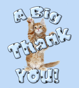 Thank you!